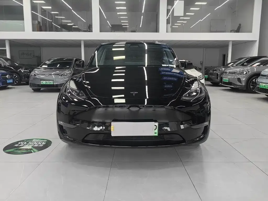Tesla Model Y 2021 из CN, фото 6
