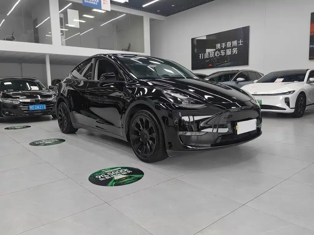 Tesla Model Y 2021 из CN, фото 8