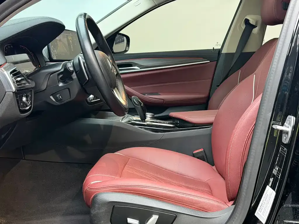 BMW 5 Series 2021 из CN, фото 8