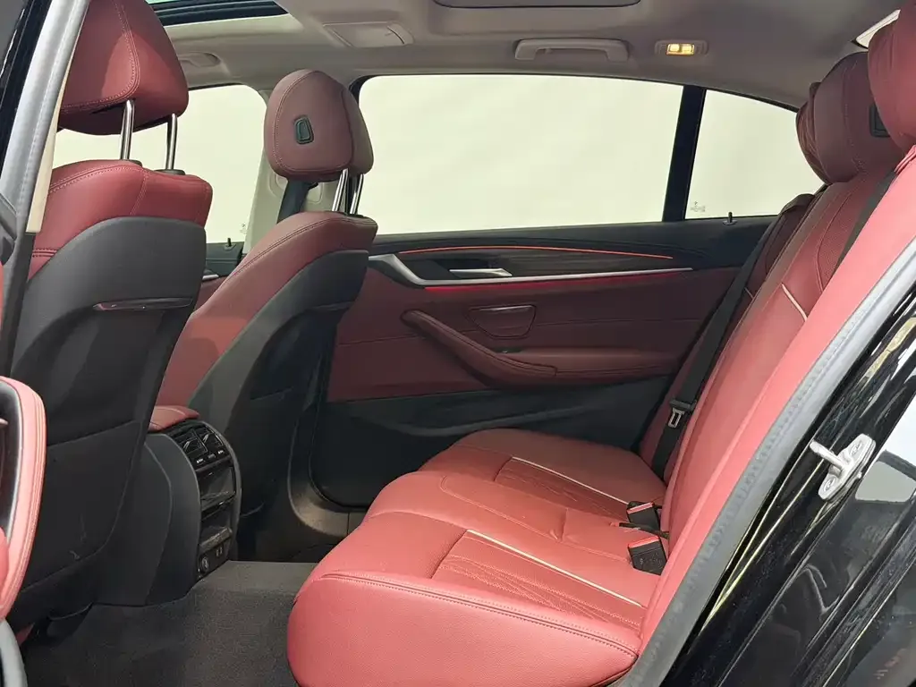 BMW 5 Series 2021 из CN, фото 6