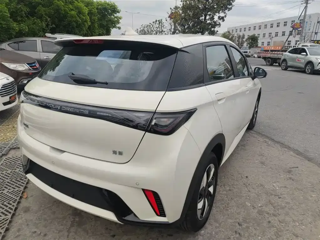 BYD Dolphin 2026 из CN, фото 8