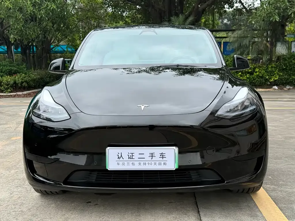 Tesla Model Y — фото 6