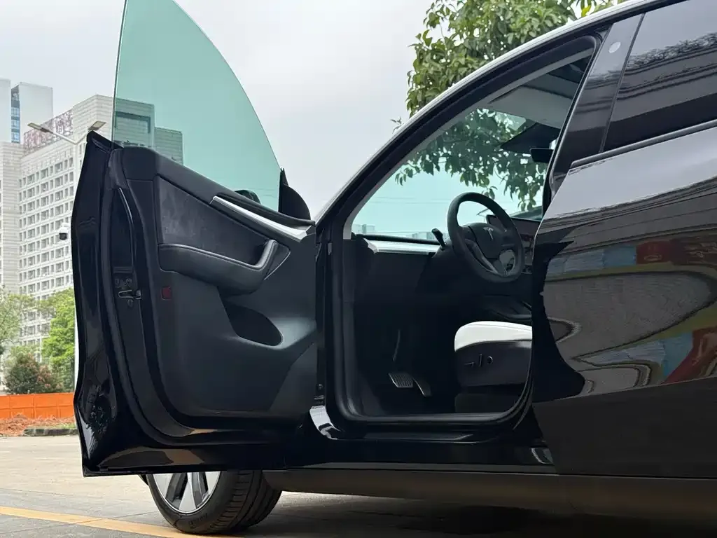 Tesla Model Y — фото 10
