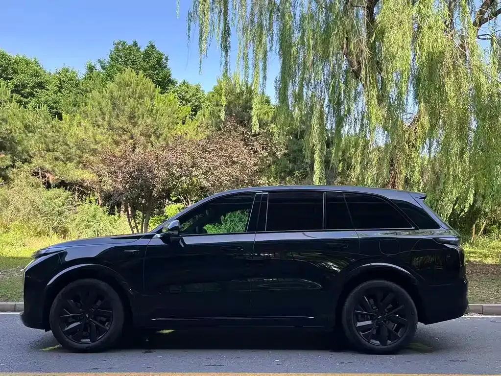 Li Auto L8 — фото 10