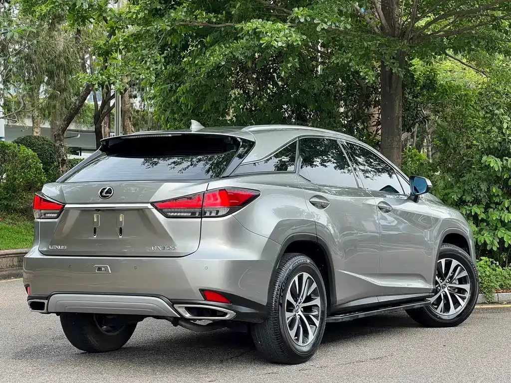 Lexus RX — фото 9