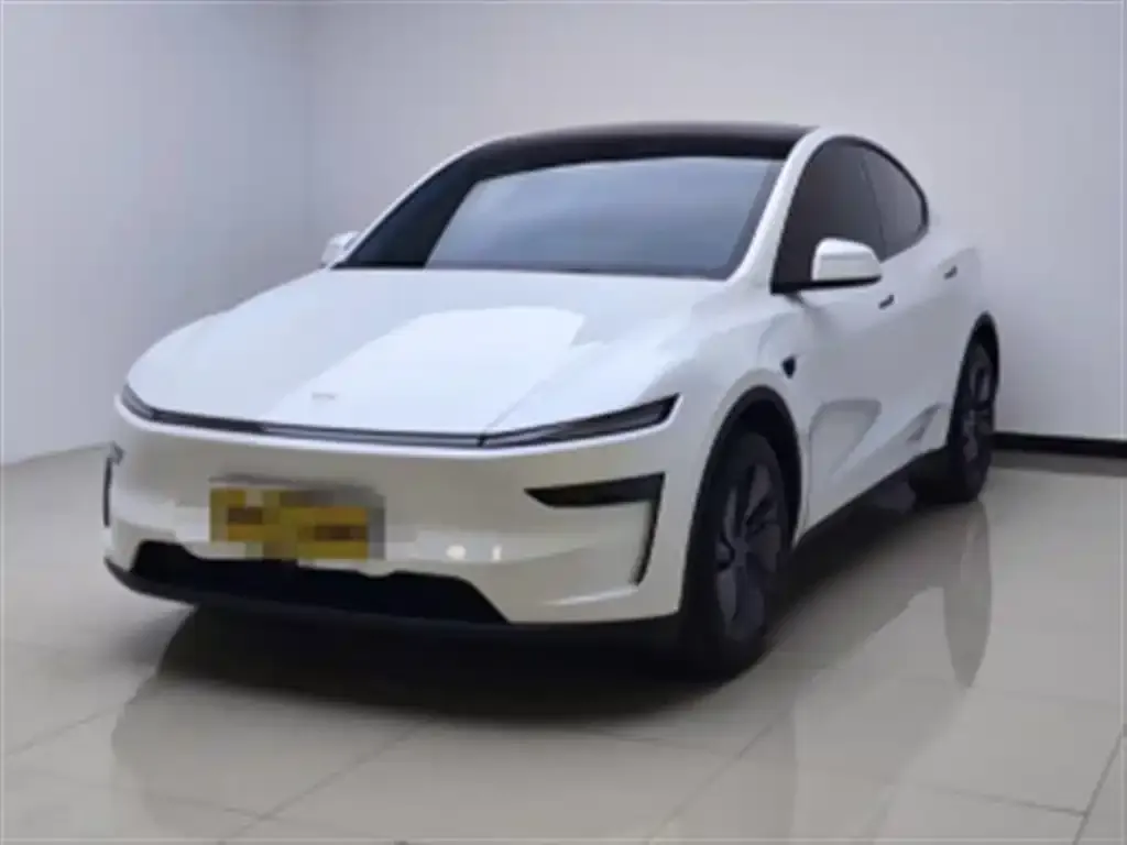 Tesla Model Y 2025 из CN, фото 1