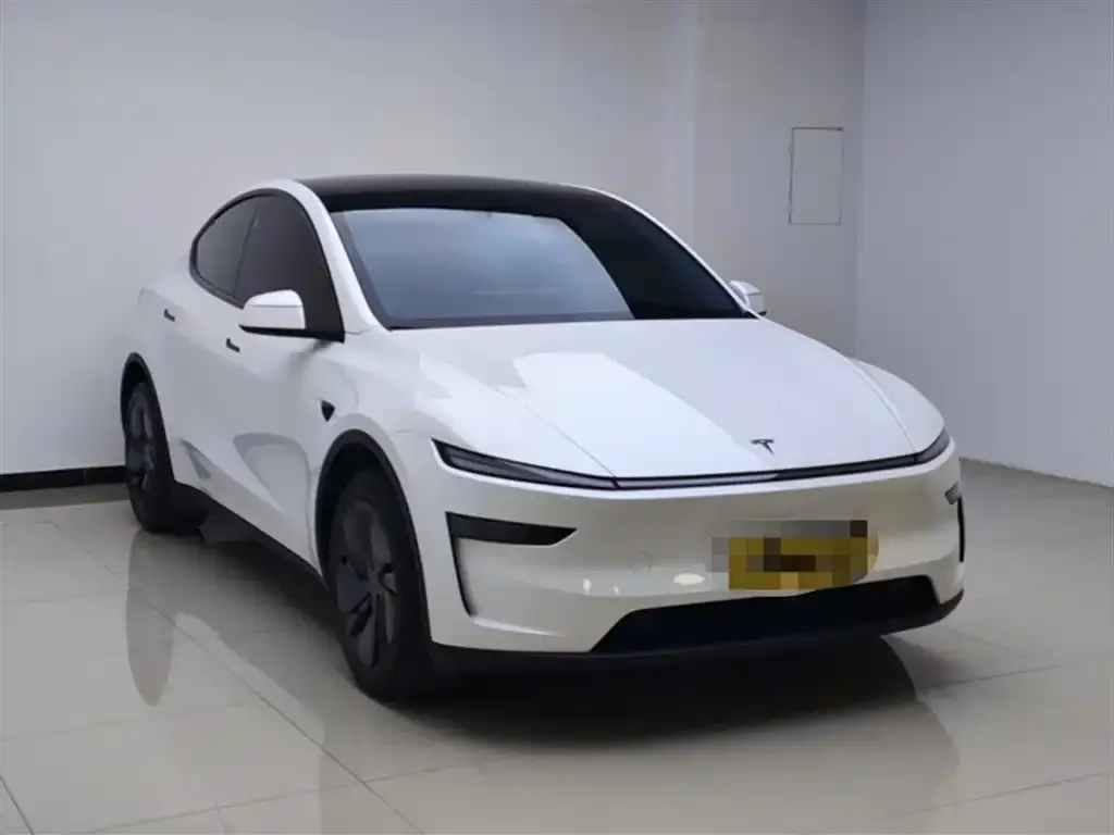 Tesla Model Y 2025 из CN, фото 6