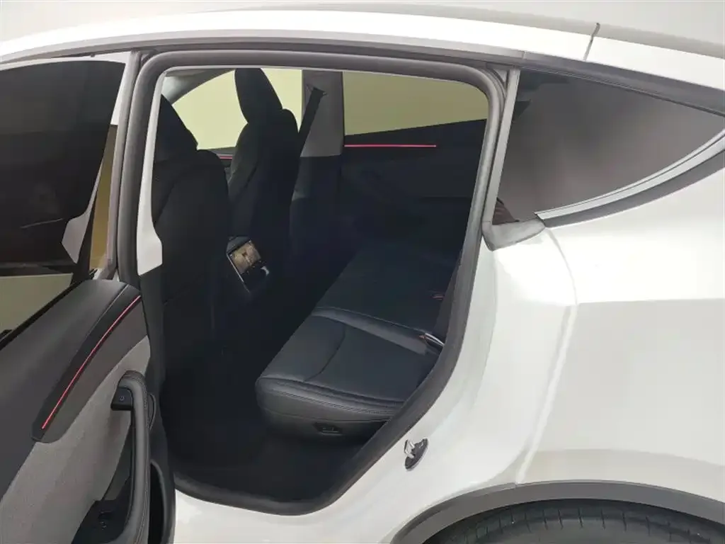 Tesla Model Y 2025 из CN, фото 7