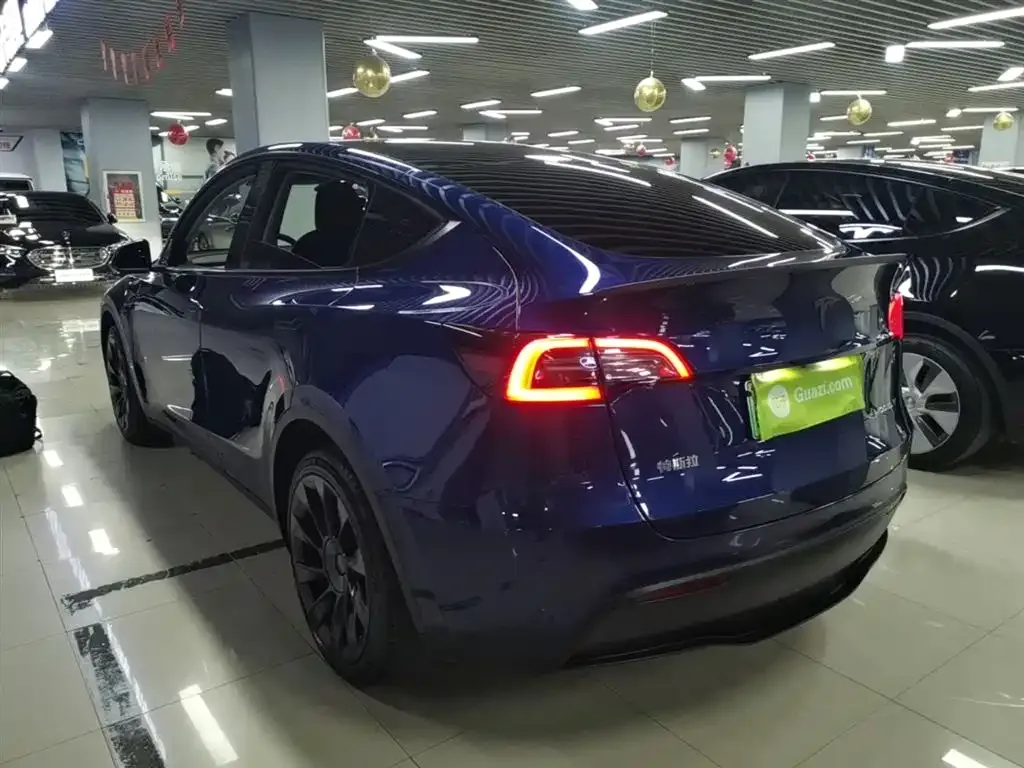 Tesla Model Y 2021 из CN, фото 6