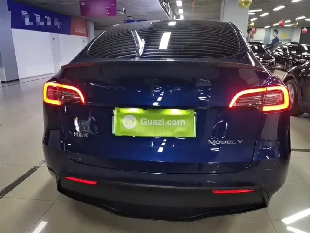 Tesla Model Y 2021 из CN, фото 5