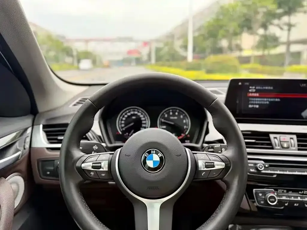 BMW X1 2021 из CN, фото 6