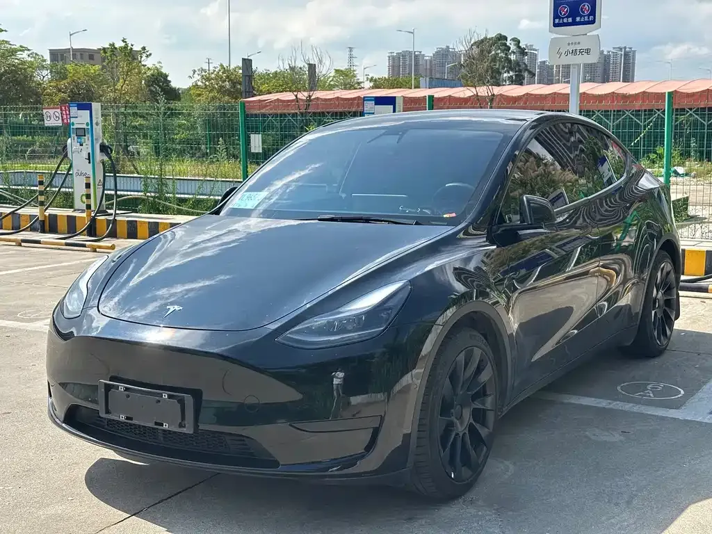 Tesla Model Y — фото 1