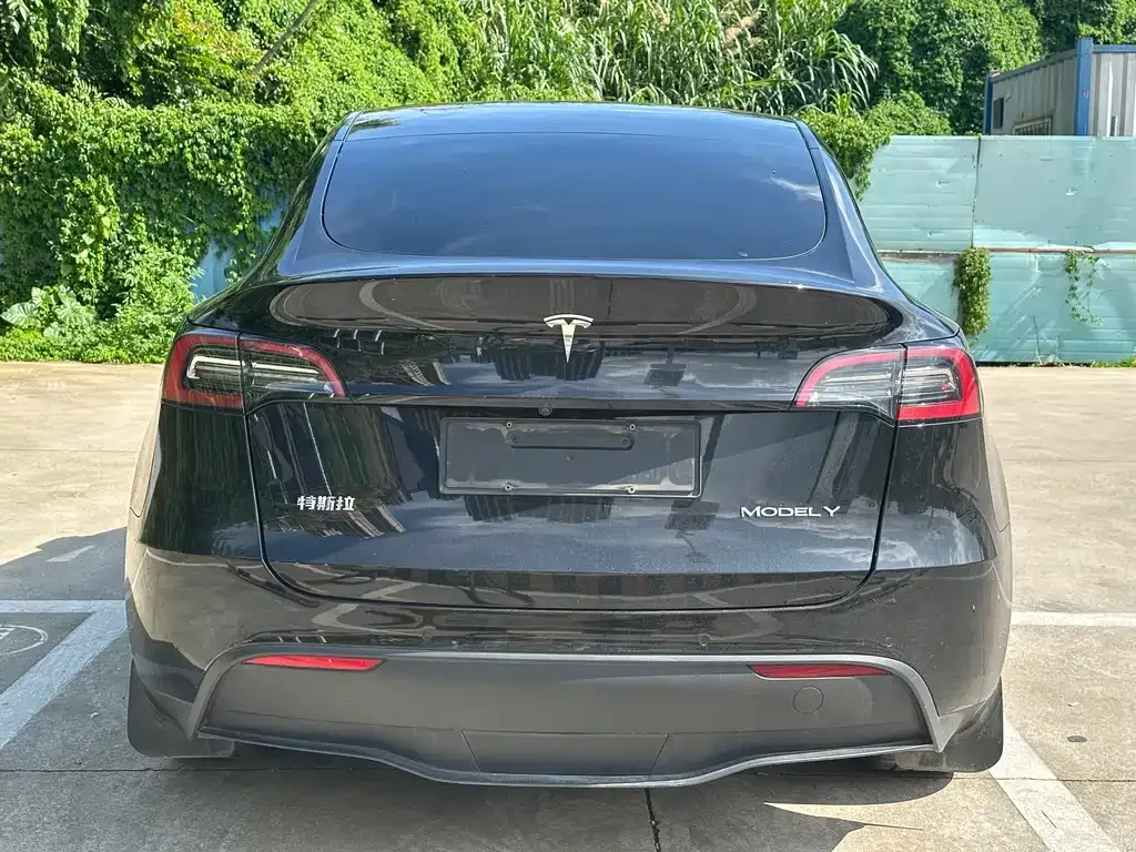 Tesla Model Y — фото 3