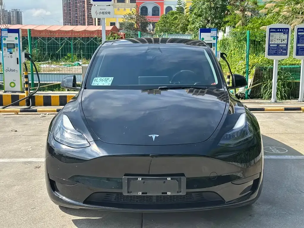 Tesla Model Y — фото 8