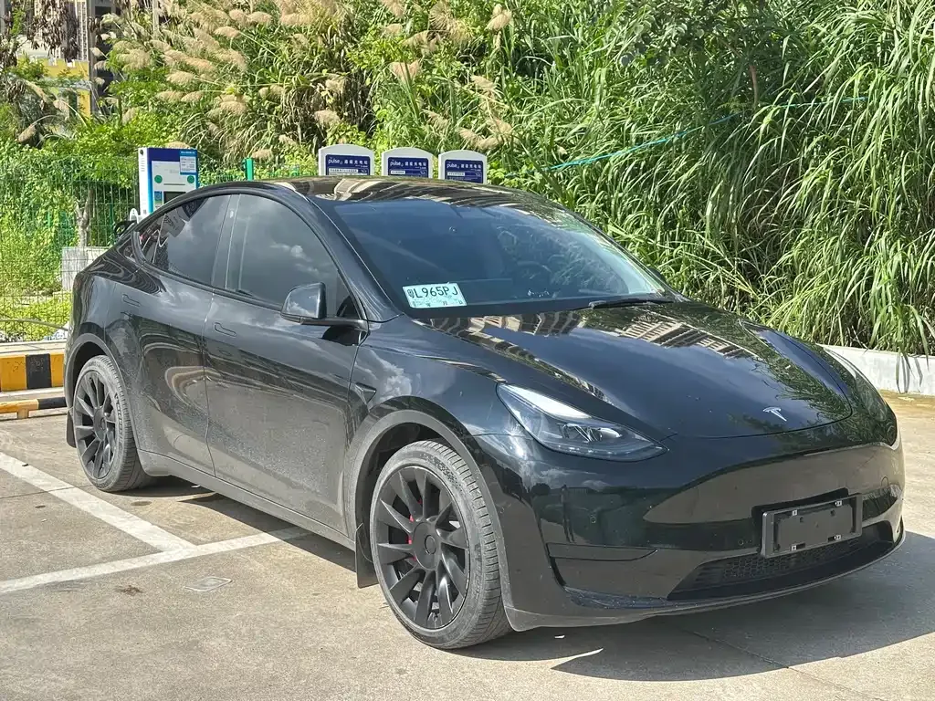 Tesla Model Y — фото 10