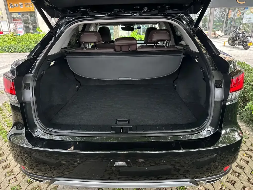 Lexus RX 2021 из CN, фото 7