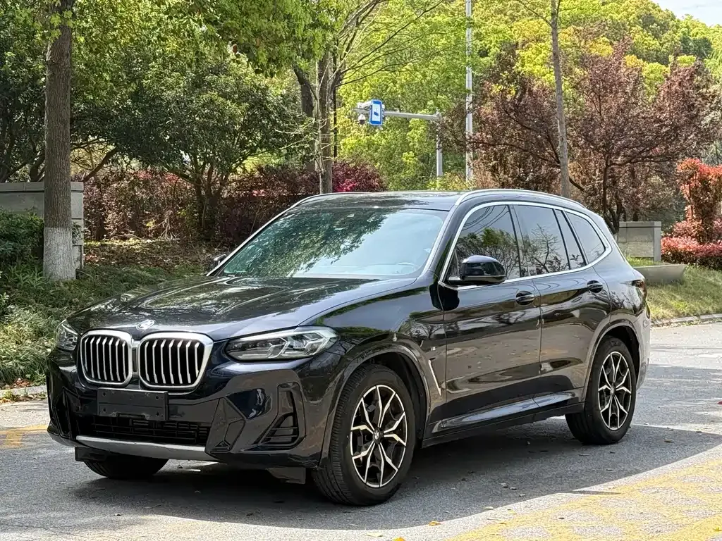 BMW X3 — фото 1