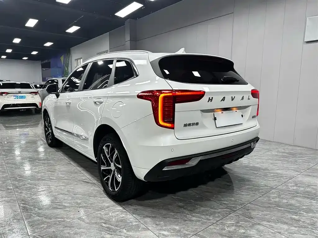 Haval Chulian 2022 из CN, фото 7