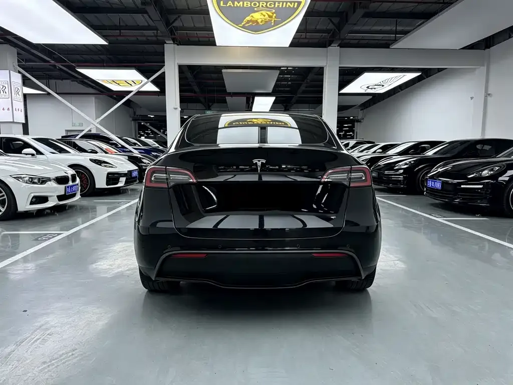 Tesla Model Y 2024 из CN, фото 7