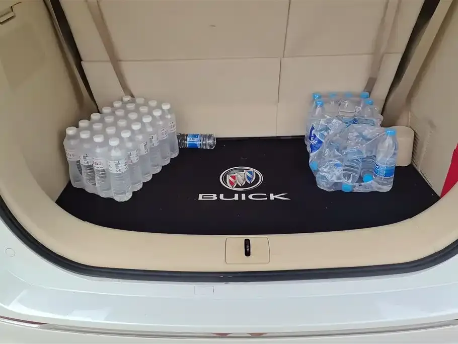Buick GL8 2023 из CN, фото 4