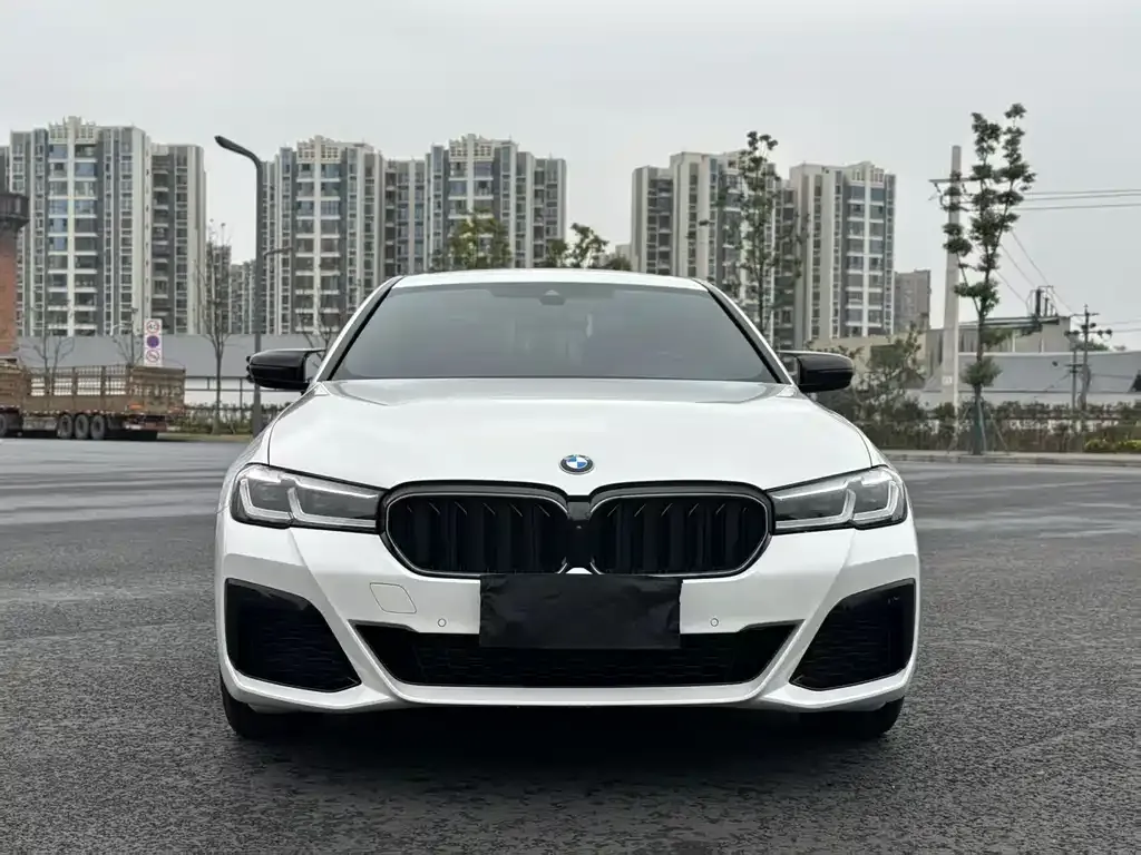 BMW 5 Series 2022 из CN, фото 8