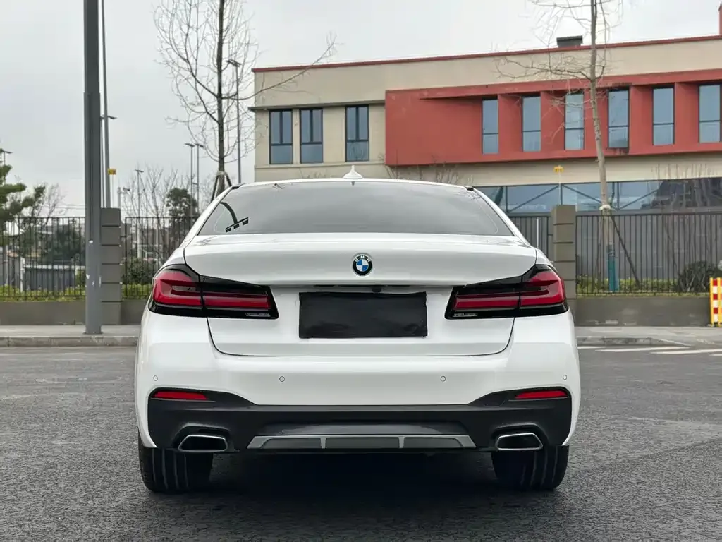 BMW 5 Series 2022 из CN, фото 6