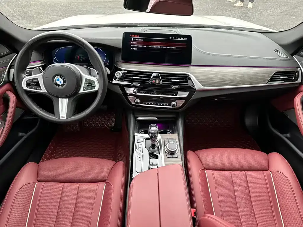 BMW 5 Series 2022 из CN, фото 10
