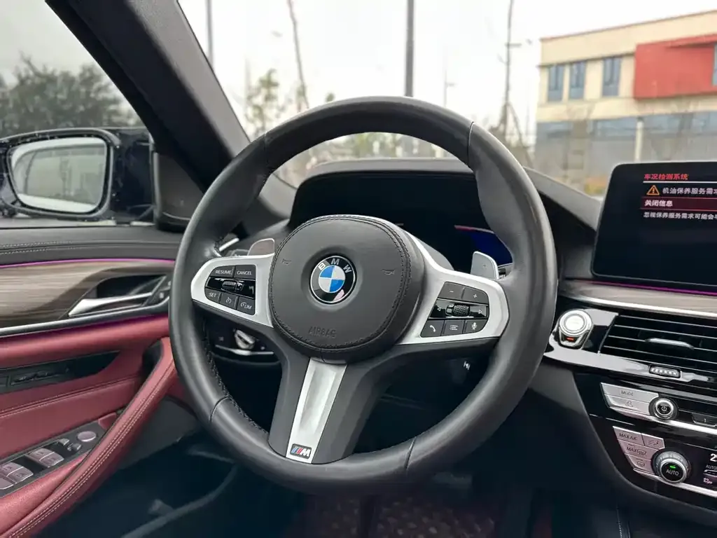 BMW 5 Series 2022 из CN, фото 3