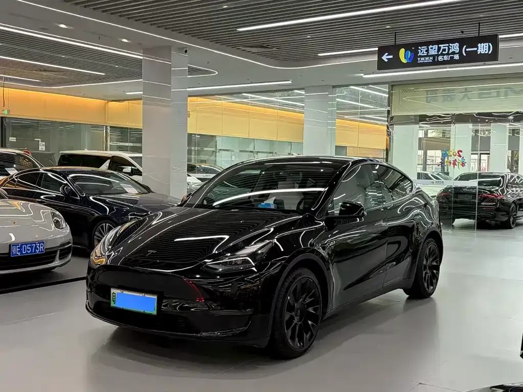 Tesla Model Y — фото 1