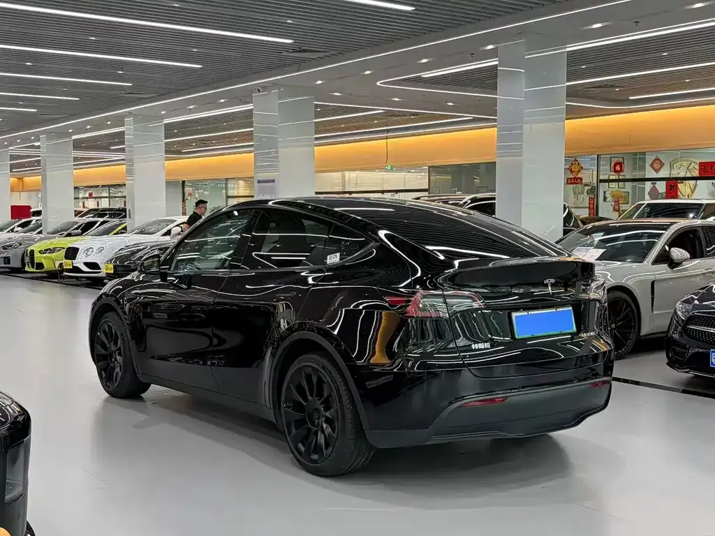 Tesla Model Y — фото 3