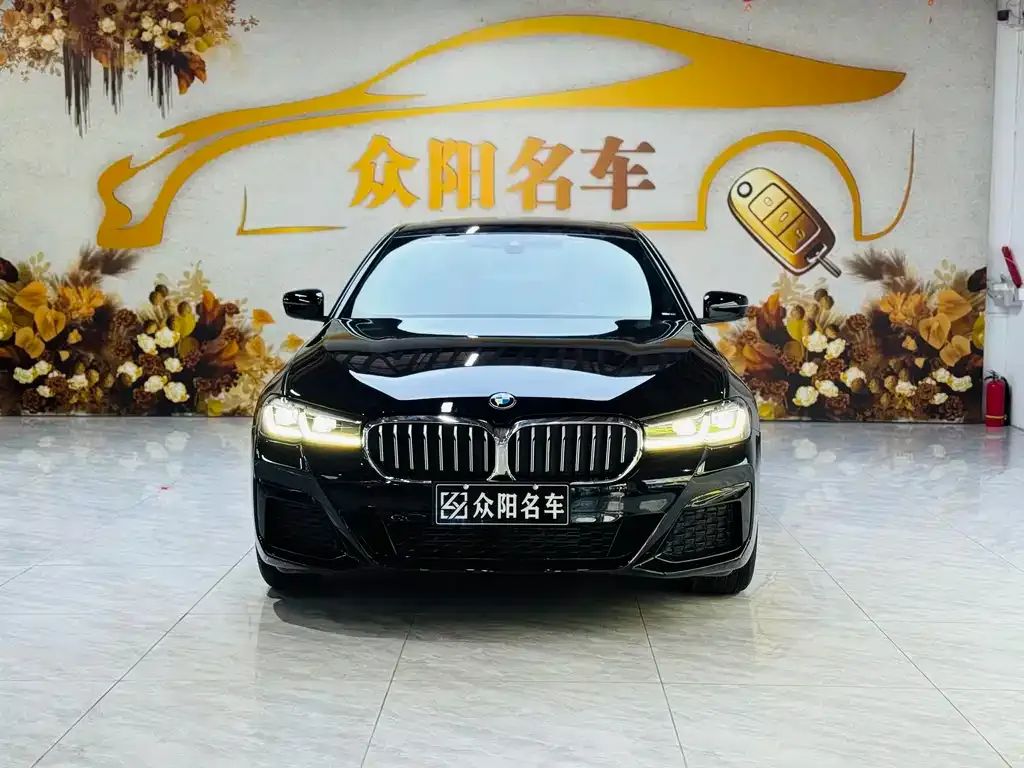BMW 5 Series 2022 из CN, фото 7