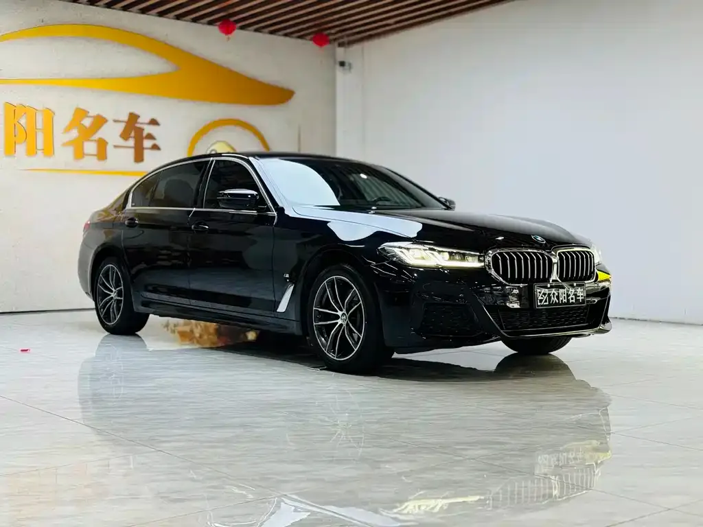 BMW 5 Series 2022 из CN, фото 3
