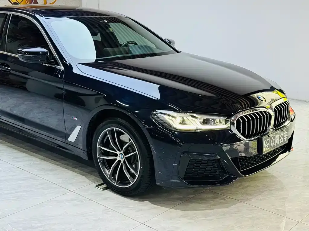 BMW 5 Series 2022 из CN, фото 5