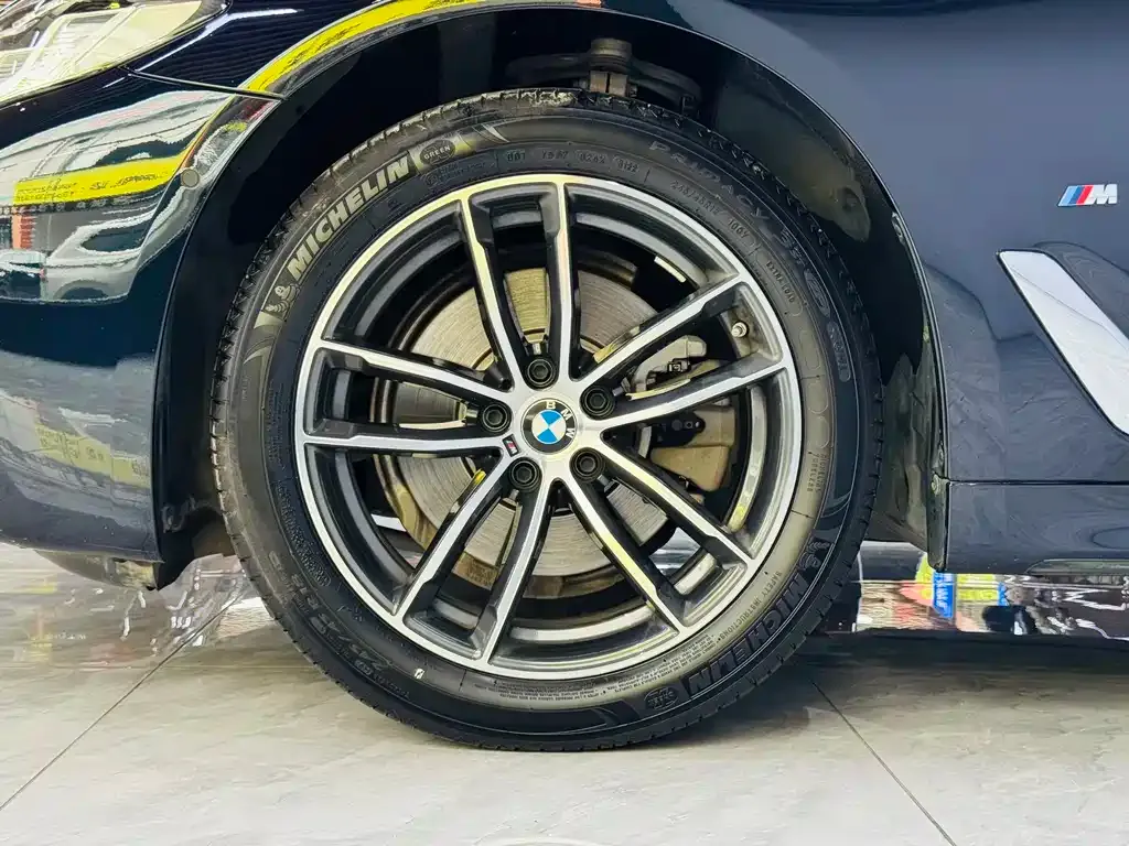 BMW 5 Series 2022 из CN, фото 6