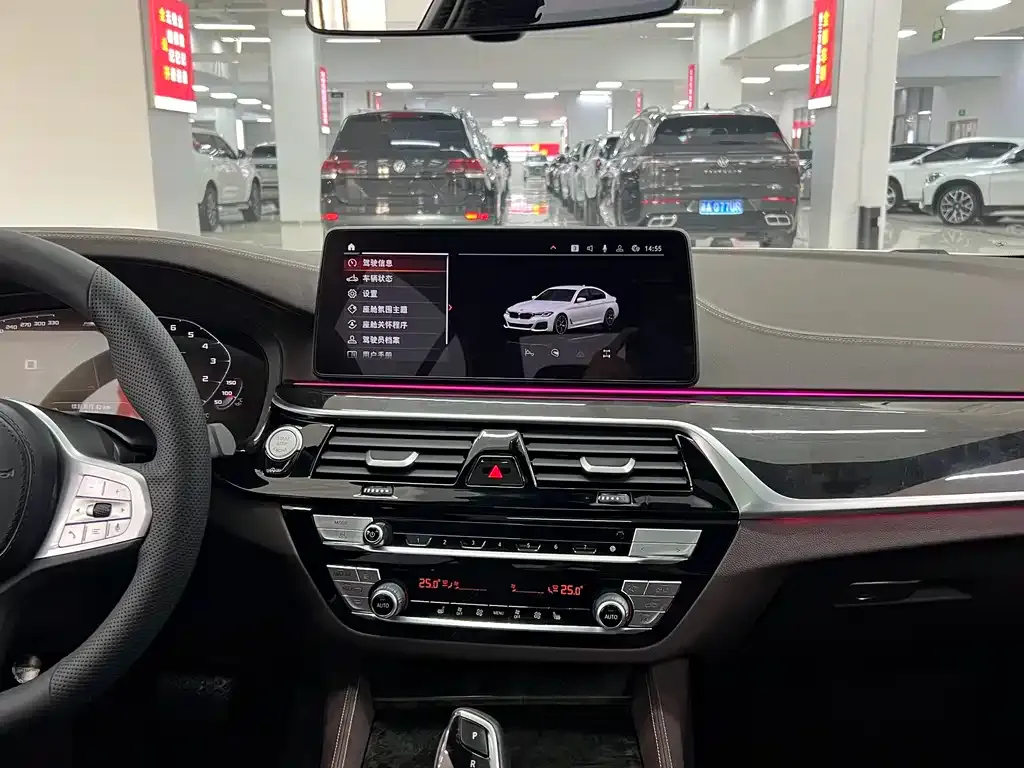 BMW 5 Series 2023 из CN, фото 8
