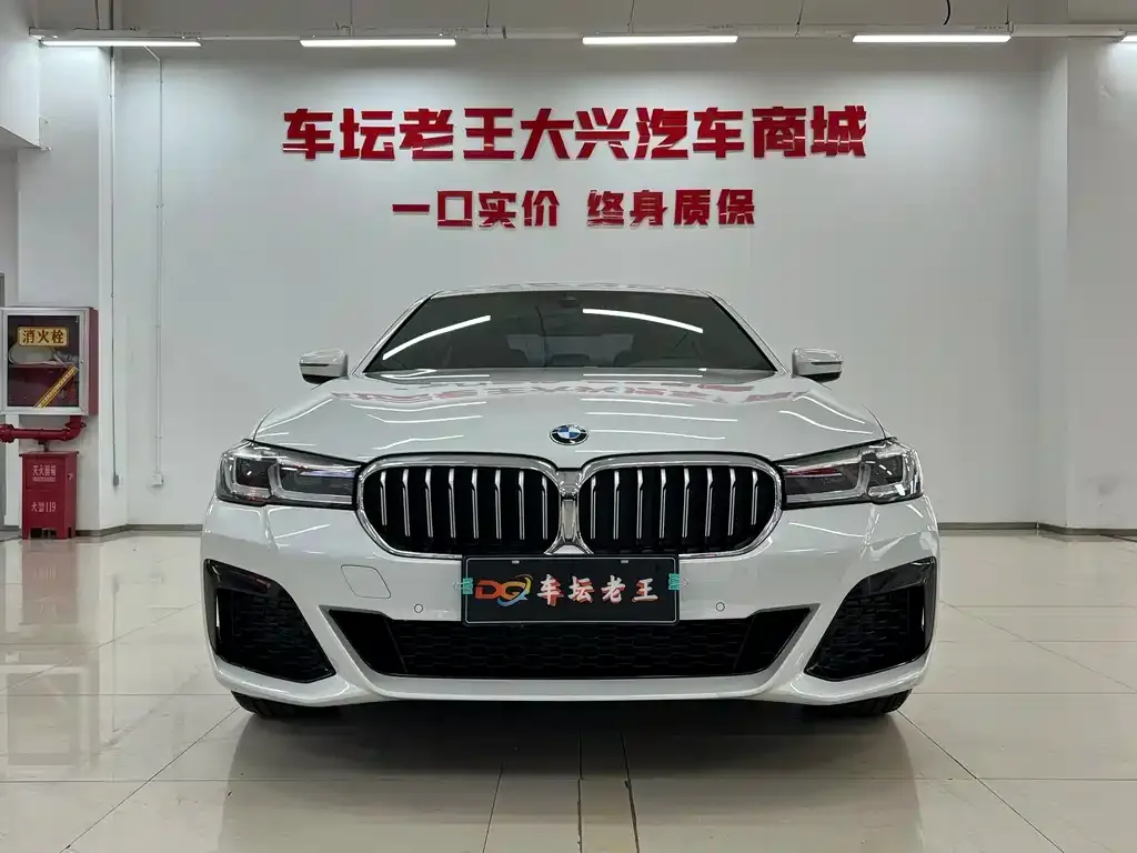 BMW 5 Series 2023 из CN, фото 7