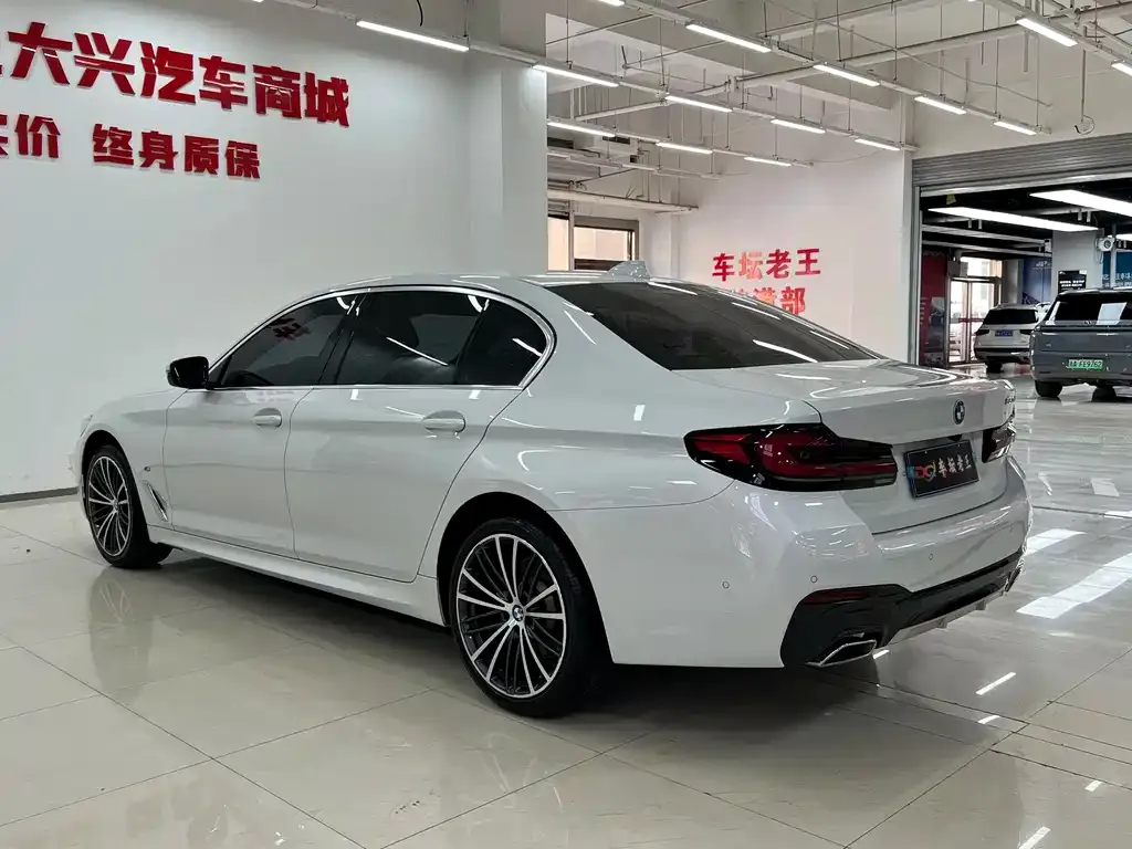 BMW 5 Series 2023 из CN, фото 6