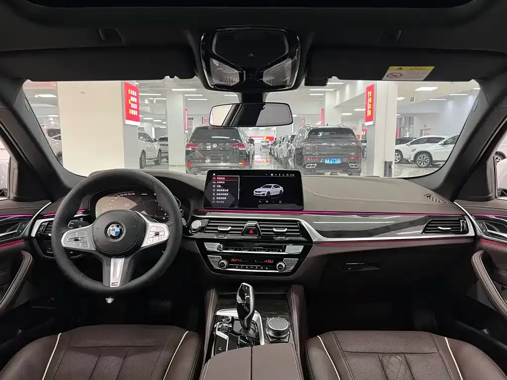 BMW 5 Series 2023 из CN, фото 5