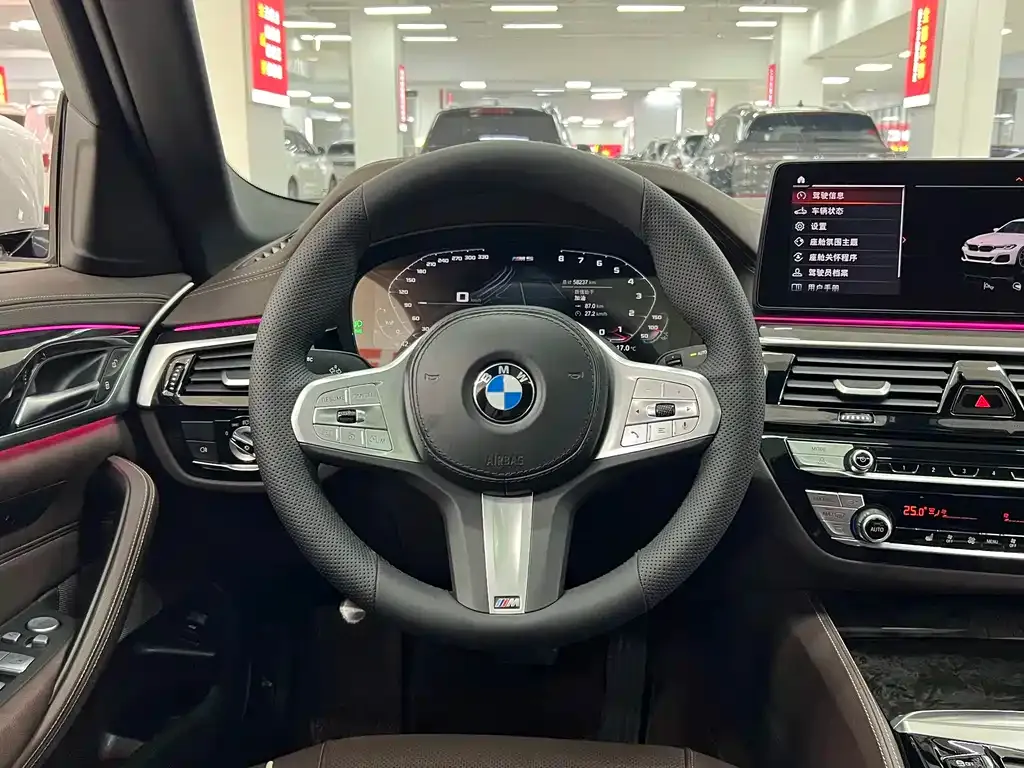 BMW 5 Series 2023 из CN, фото 4