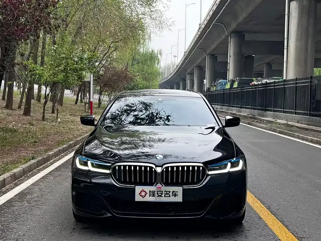 BMW 5 Series 2022 из CN, фото 1