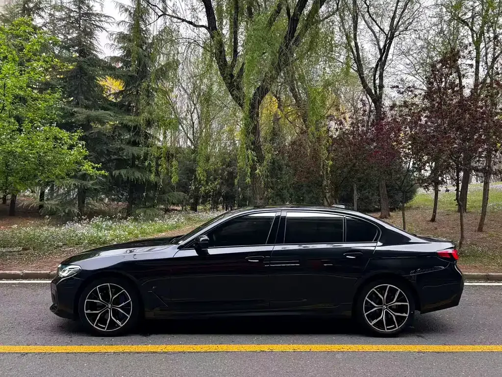 BMW 5 Series 2022 из CN, фото 2