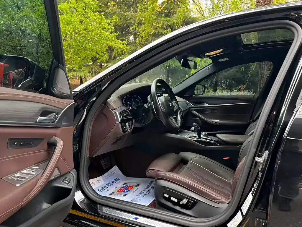 BMW 5 Series 2022 из CN, фото 9