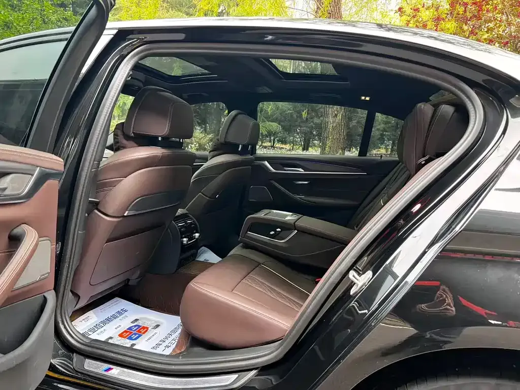 BMW 5 Series 2022 из CN, фото 5