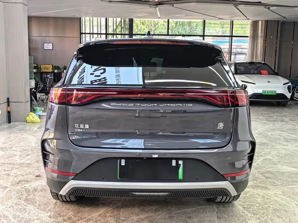 BYD Tang New Energy 2024 из CN, фото 5