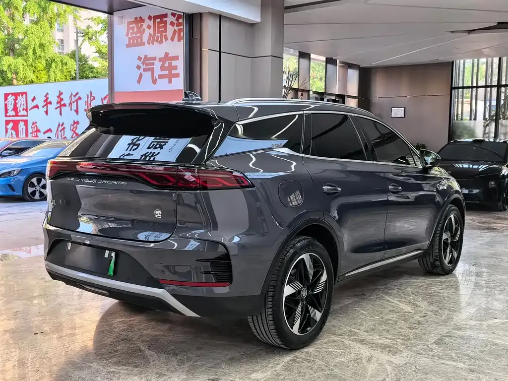 BYD Tang New Energy 2024 из CN, фото 9