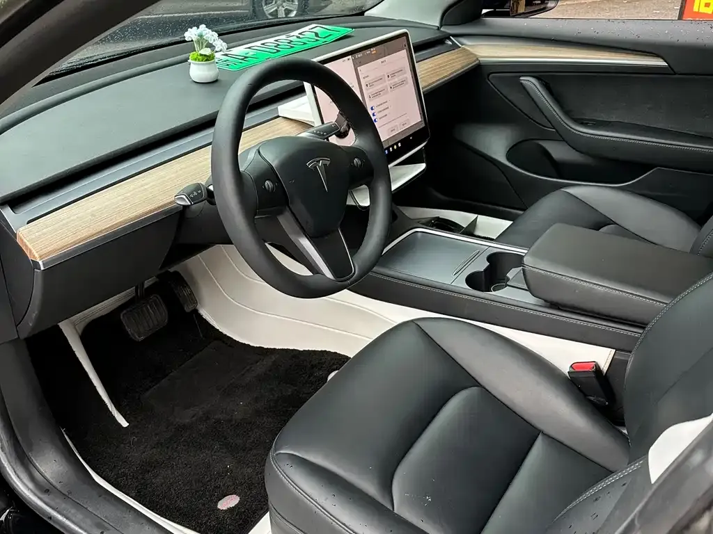 Tesla Model 3 2023 из CN, фото 4