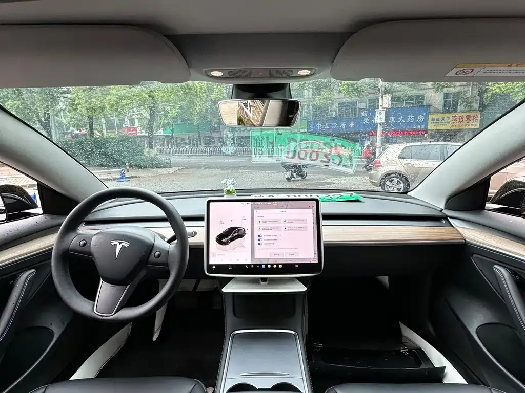 Tesla Model 3 2023 из CN, фото 3