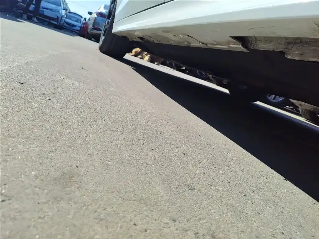 Honda Civic — фото 8