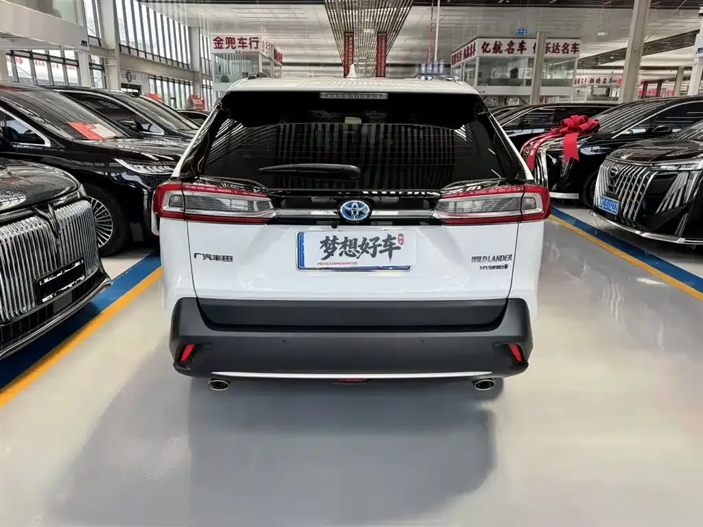 Toyota Wildlander 2023 из CN, фото 10