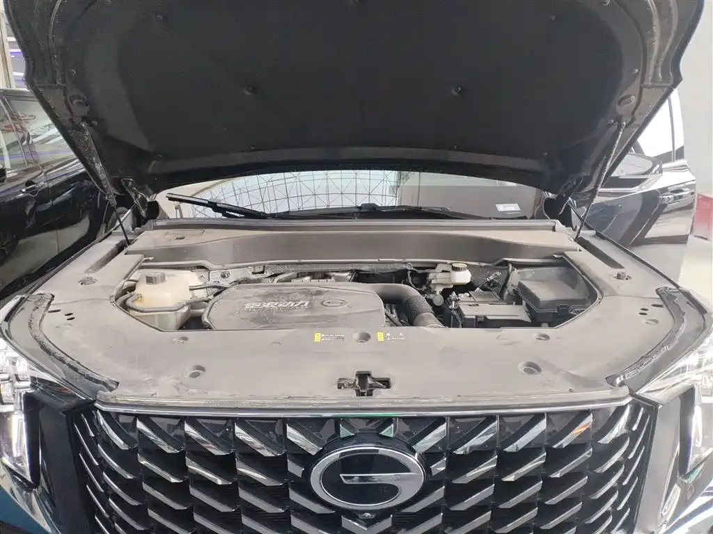GAC Motor Trumpchi GS8 — фото 6